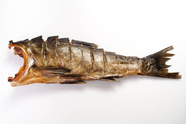 istock cold-smoked silver carp fish on a white background. salty snacks to beer. 1290637470