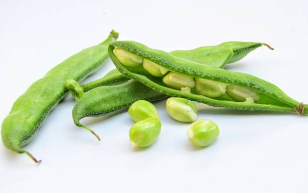 istock hyacinth beans isolated on white background 1290638945