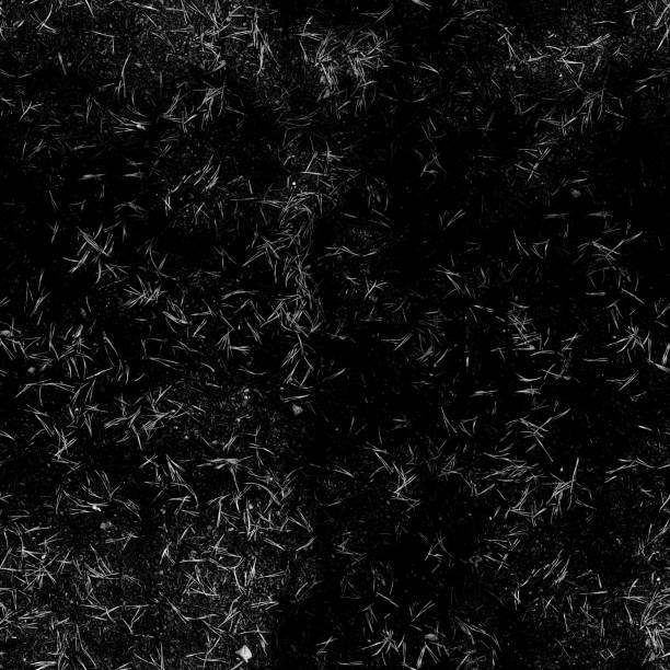 8K burned ground roughness texture, height map or specular for Imperfection map for 3d materials, Black and white texture