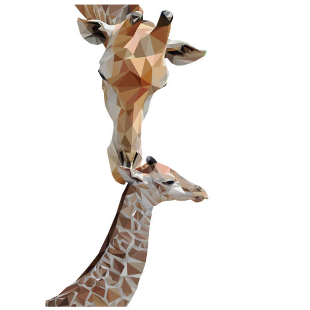 Geometrical Giraffes Isolated Geometrical Illustration of two giraffes in Africa giraffe calf stock illustrations