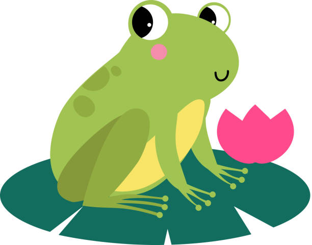 funny green frog z wystającymi oczami siedzącymi na liściu waterlily flower vector ilustracja - cute animal reptile amphibian stock illustrations