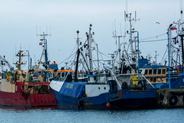 釣り船の港 - cloud sailboat fishing boat fishing industry ストックフォトと画像