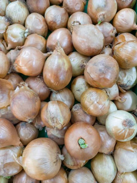 istock Fresh Onion at the supermarket 1290649543