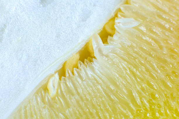 Grapefruit texture inside on the white background. Citrus close up photo. Healthy lifestyle photo. Beautiful wallpaper. Vegetarian and vegan concept. Vitamins from nature.