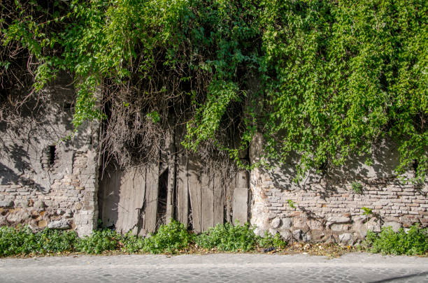 istock a walk along the Appian Way 1290652537
