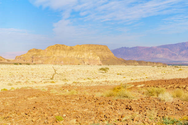 istock Landscape in the Timna Valley 1290661841