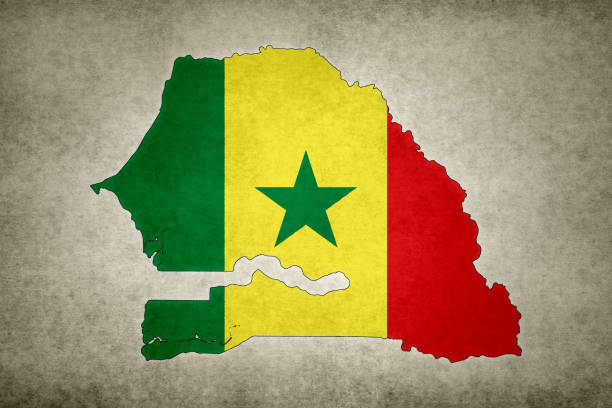 mapa grunge do senegal com sua bandeira impressa dentro - senegal flag dirty africa - fotografias e filmes do acervo