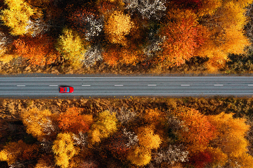 Drone view of a red car moving on a country road across a forest in autumn, with yellow and red leaves.
