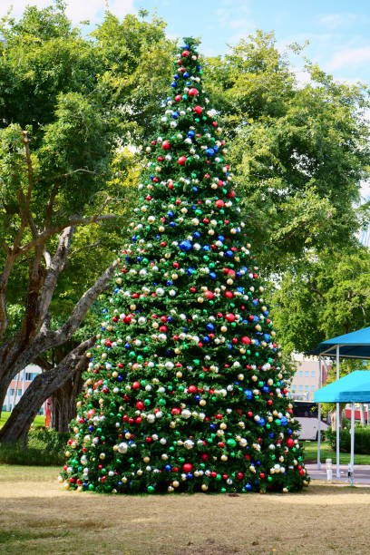 istock Decorated Christmas tree in Bay Side, Miami, Florida 1290667768
