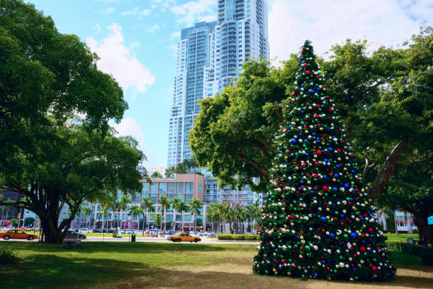 istock Decorated Christmas tree in Bay Side, Miami, Florida 1290667781