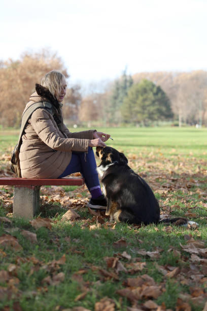 istock Senior woman feeding her dog 1290670300