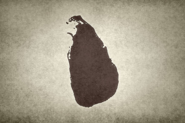 istock Grunge map of Sri Lanka 1290673079