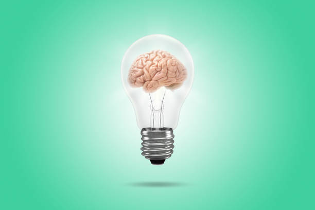 bombilla con cerebro - technology digital display digitally generated image brain fotografías e imágenes de stock