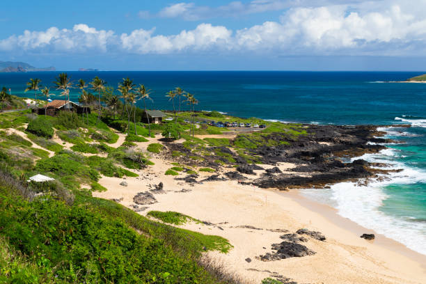 istock Makapu'u Beach, wide beach for swimming, Oahu, Hawaii 1290678416
