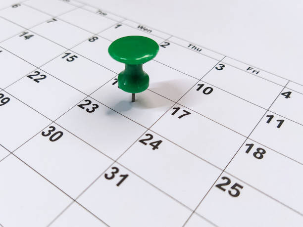 istock Green pushpin stuck into calendar, event reminder 1290679762
