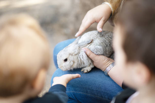 istock Children stroking a rabbit in their mother's arms 1290679779