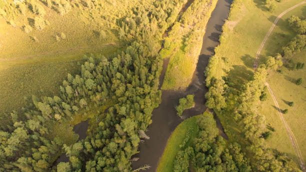 istock Aerial view from drone over curve river, meadow, country road and dense forest. 1290681382