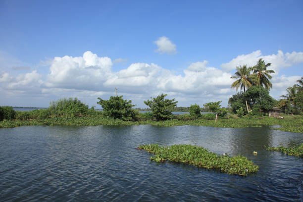 istock Beautiful backwater locations in Kerala, India. 1290682489