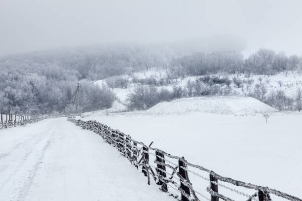 istock Nature reserve with snowy hills 1290683817