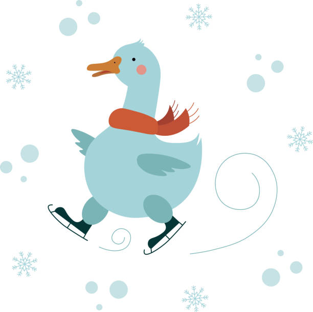 illustrazioni stock, clip art, cartoni animati e icone di tendenza di oca carina in una sciarpa rossa che pattina nella nevicata. tema natalizio. - ice skating sports venue animal winter