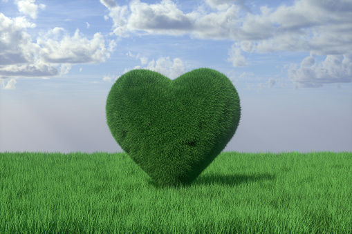 3d rendering of Heart Shape with Grass on Grass Ground.