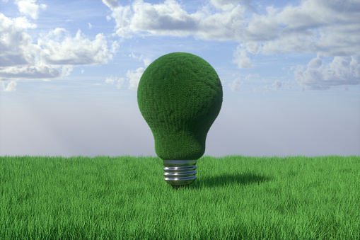 3d rendering of Light Bulb with Grass on Grass Ground.