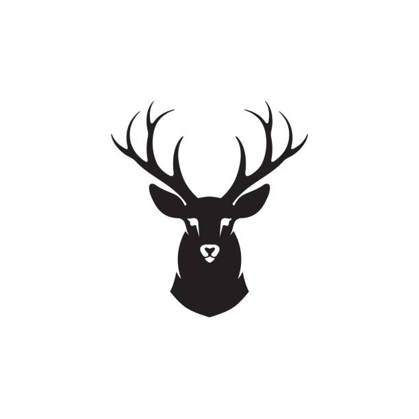 олень, рога / охота логотип дизайн вектор фондовой иллюстрации олень, голова, вектор, олень, логотип - silhouette security elegance simplicity stock illustrations