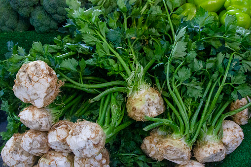 Fresh, Organic, Celery, Vegetable, Nature