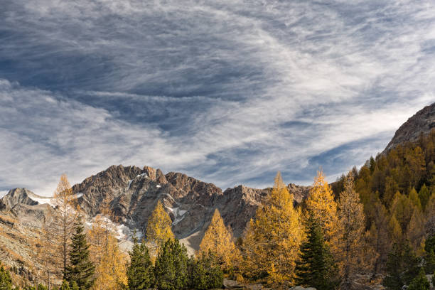 istock Wide angle landscape in Alps mountains 1290690722