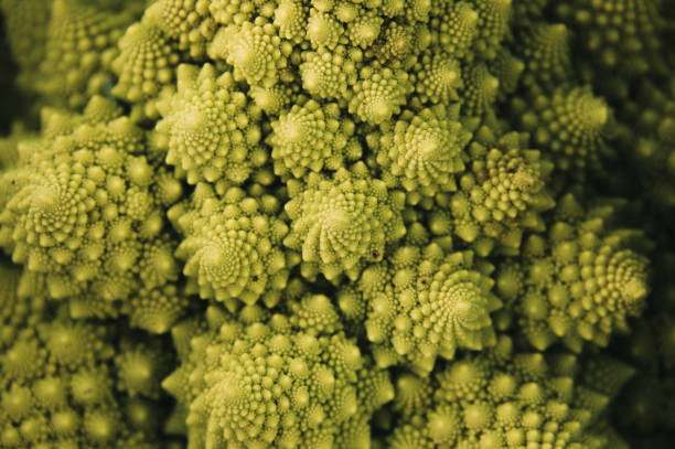 istock Detail of a Romanesco Broccoli 1290690793