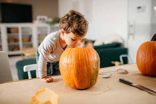 Young boy is standing on a chair next to the table and looking inside pumpkin before carving for haloween. Horizontal photo.
