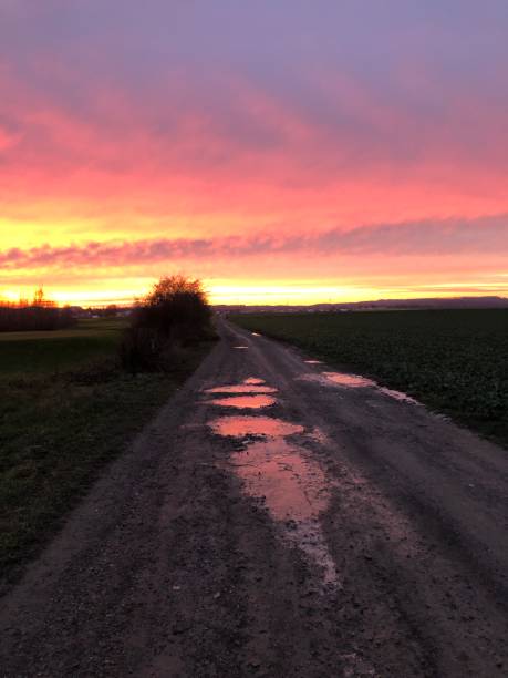 istock Sunset on the dirt road 1290693319