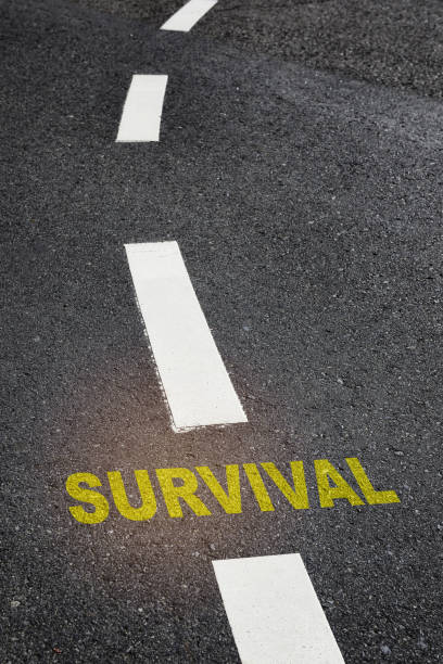 istock Road to survival with marking line 1290693465
