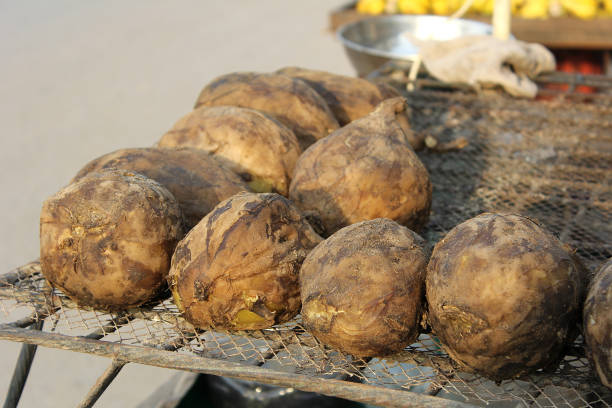 istock Sweet Potato is a best winter meal for refreshment. 1290694364