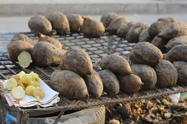 istock Sweet Potato is a best winter meal for refreshment. 1290694452