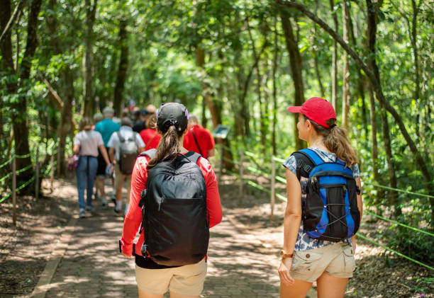 istock Two women walking along a footpath in a rainforest nature reserve 1290694963