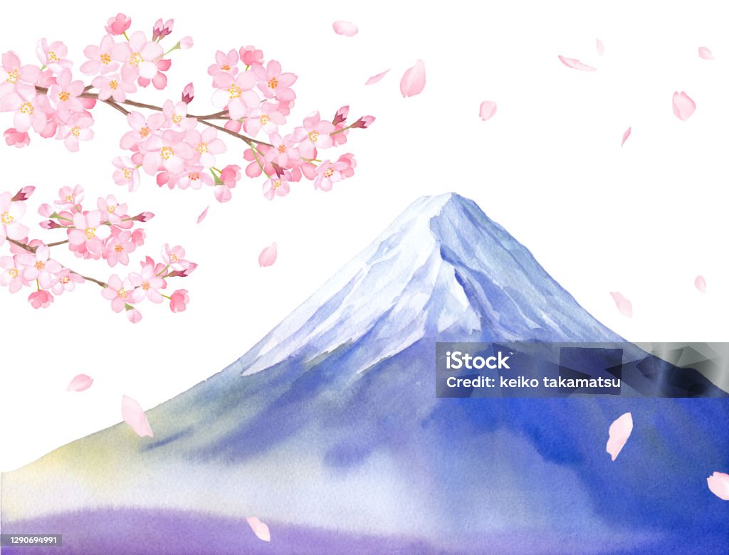 Quang Cảnh Hoa Anh Đào Và Núi Phú Sĩ Dữ Liệu Vectơ Của Hình Minh ...