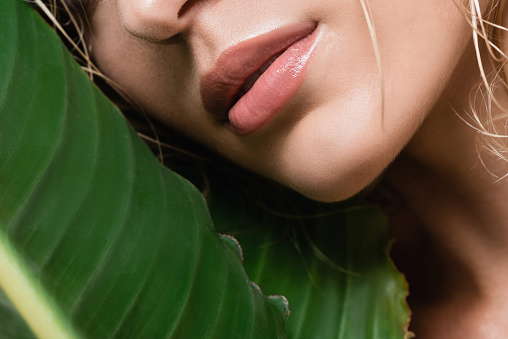 cropped view of blonde woman with wet hair and green leaf