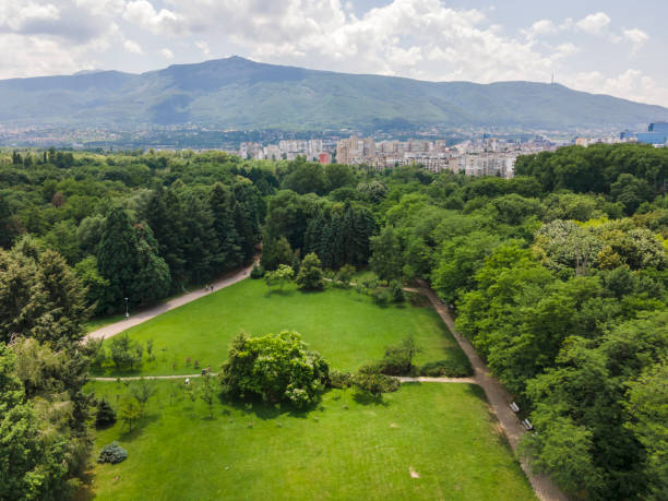 aerial view of south park in city of sofia, bulgaria - forest road nature birch tree imagens e fotografias de stock