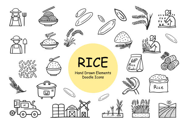 ikon nasi mengatur ikon doodle yang digambar dengan tangan - paddy ilustrasi stok