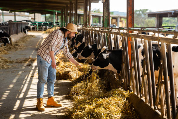 istock Nice man farmer with shovel working at farm 1290699226