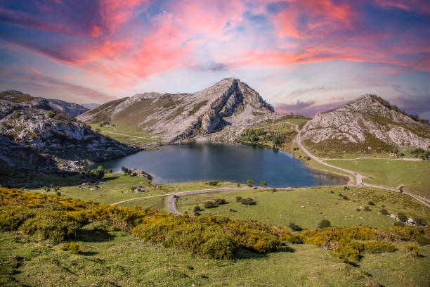 der schöne see von covadonga in asturien, ein schöner frühlingssonnenuntergang, picos de europa. spanien - forrest lake lichtstimmung nebel stock-fotos und bilder