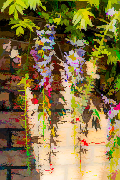 istock Wisteria blossom in springtime 1290701905