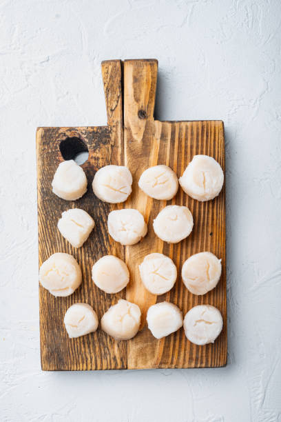 istock Fresh raw scallops, top view, on white textured background 1290708195