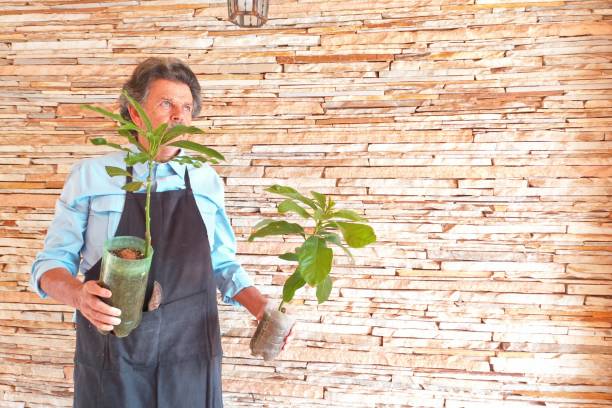 istock senior man tending his garden at his home 1290708834