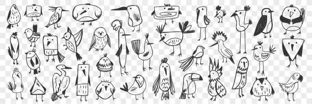 Vector illustration of Birds hand drawn doodle set
