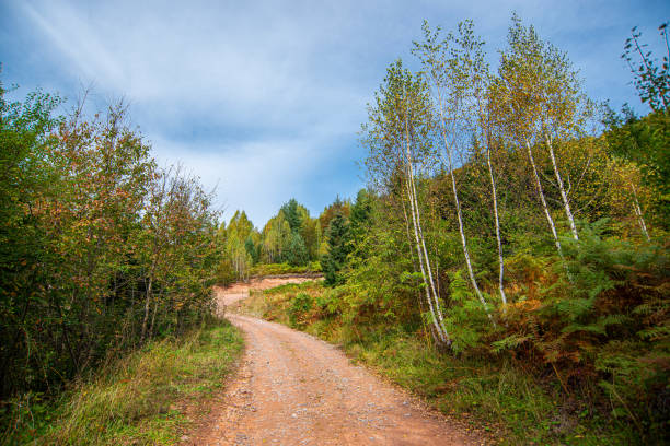 istock Old Mountain or Stara Planina, a road in the day light 1290709523