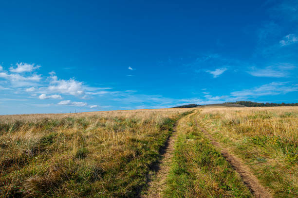 istock Old Mountain or Stara Planina, a road in the day light 1290710876