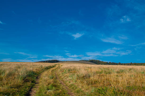 Old Mountain or Stara Planina, a road in the day light, Serbia