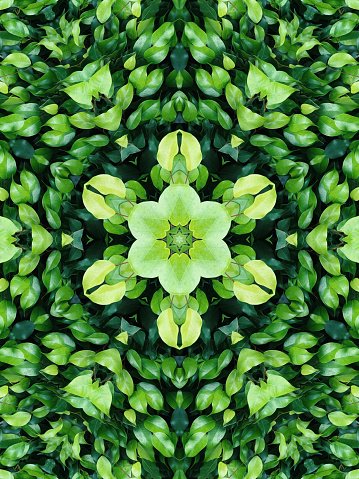 Kaleidoscopic oil painted flora and leaf background